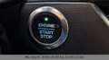 Ford Focus Turnier Active ACC LED Kamera Weiß - thumbnail 29