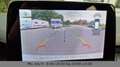 Ford Focus Turnier Active ACC LED Kamera Weiß - thumbnail 20