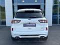 Ford Kuga 2.5 Duratec 190ch FHEV E85 ST-Line Business BVA Blanc - thumbnail 6