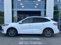 Ford Kuga 2.5 Duratec 190ch FHEV E85 ST-Line Business BVA Blanc - thumbnail 8