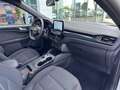 Ford Kuga 2.5 Duratec 190ch FHEV E85 ST-Line Business BVA Blanc - thumbnail 15
