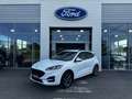 Ford Kuga 2.5 Duratec 190ch FHEV E85 ST-Line Business BVA Blanc - thumbnail 1