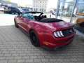 Ford Mustang Cabrio 5.0  V8 Aut. GT #5 Jahre Garantie Rood - thumbnail 3