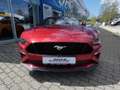 Ford Mustang Cabrio 5.0  V8 Aut. GT #5 Jahre Garantie Rot - thumbnail 8