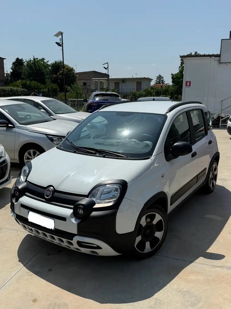 Fiat Panda 1.2 easypower Cross Gpl s&s 69cv - 1