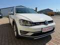 Volkswagen Golf Variant 1.6 TDI 4 Motion Alltrack Weiß - thumbnail 5
