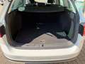 Volkswagen Golf Variant 1.6 TDI 4 Motion Alltrack Weiß - thumbnail 18