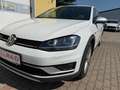 Volkswagen Golf Variant 1.6 TDI 4 Motion Alltrack Weiß - thumbnail 4