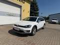 Volkswagen Golf Variant 1.6 TDI 4 Motion Alltrack Weiß - thumbnail 3