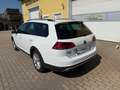 Volkswagen Golf Variant 1.6 TDI 4 Motion Alltrack Weiß - thumbnail 6