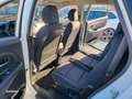 Kia Carens 1.6 GDi Concept 135 Blanco - thumbnail 14