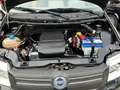 Fiat Panda 1.2 Climbing 4x4 ASI + CRS Zwart - thumbnail 20