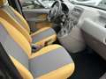 Fiat Panda 1.2 Climbing 4x4 ASI + CRS Nero - thumbnail 12