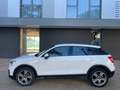Audi Q2 35 TDI Design S tronic 110kW Weiß - thumbnail 14