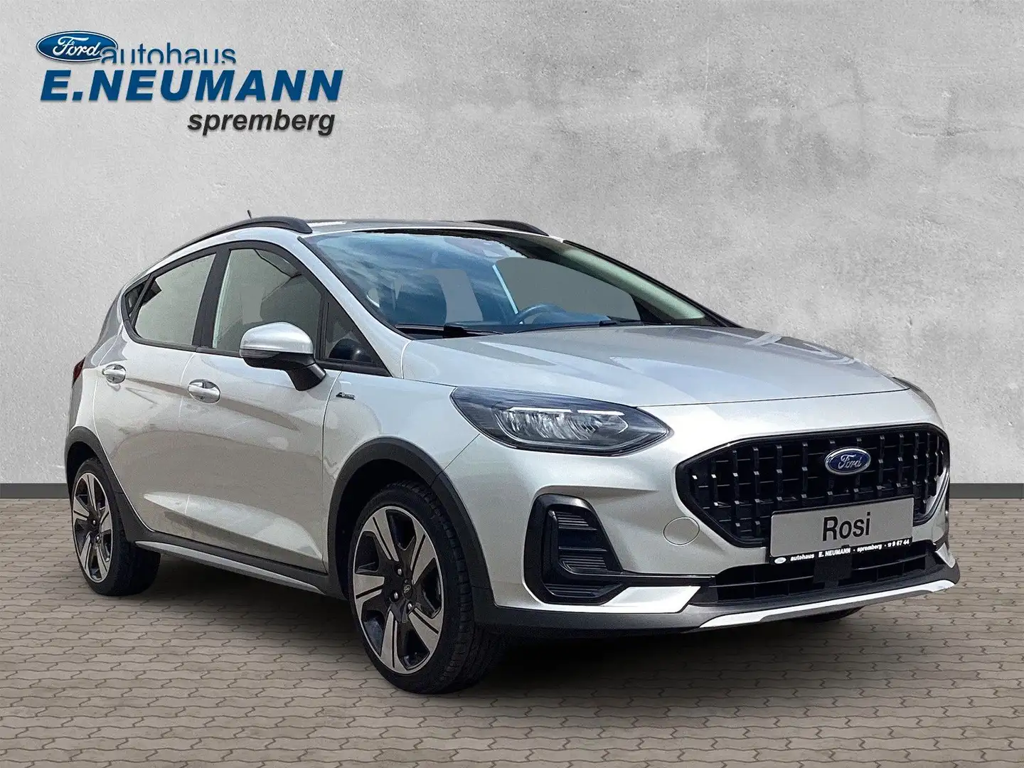 Ford Fiesta Active*Winter-Paket* Argent - 2