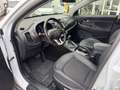 Kia Sportage Sportage 2.0 CRDI 184CV AWD GANCIO TRAINO Bianco - thumbnail 11