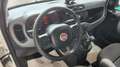 Fiat Panda Panda III 2021 Cross 0.9 t.air t. natural power Bianco - thumbnail 8