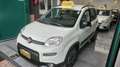 Fiat Panda Panda III 2021 Cross 0.9 t.air t. natural power Bianco - thumbnail 3