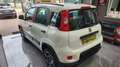 Fiat Panda Panda III 2021 Cross 0.9 t.air t. natural power Bianco - thumbnail 4