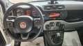 Fiat Panda Panda III 2021 Cross 0.9 t.air t. natural power Bianco - thumbnail 9