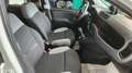 Fiat Panda Panda III 2021 Cross 0.9 t.air t. natural power Bianco - thumbnail 14