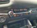 Mazda 3 Selection SKYACTIV-G 2.0 M-Hybrid MATRIX-LED Navi Bleu - thumbnail 22