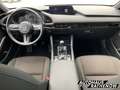 Mazda 3 Selection SKYACTIV-G 2.0 M-Hybrid MATRIX-LED Navi Bleu - thumbnail 14