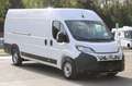 Fiat Ducato Maxi L4H2 140 10Zoll Navi Klimaautomatik... Weiß - thumbnail 1
