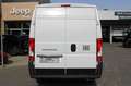Fiat Ducato Maxi L4H2 140 10Zoll Navi Klimaautomatik... Weiß - thumbnail 7