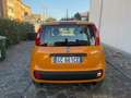 Fiat Panda Panda III 1.2 Easy easypower Gpl 69cv Promo Arancione - thumbnail 9