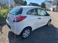 Ford Ka/Ka+ 1,2 Ambiente Klima zwei Vorbesitzer Weiß - thumbnail 5