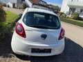 Ford Ka/Ka+ 1,2 Ambiente Klima zwei Vorbesitzer Weiß - thumbnail 4
