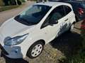 Ford Ka/Ka+ 1,2 Ambiente Klima zwei Vorbesitzer Weiß - thumbnail 2