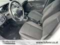 Ford Fiesta Easy 1,25 Weiß - thumbnail 15