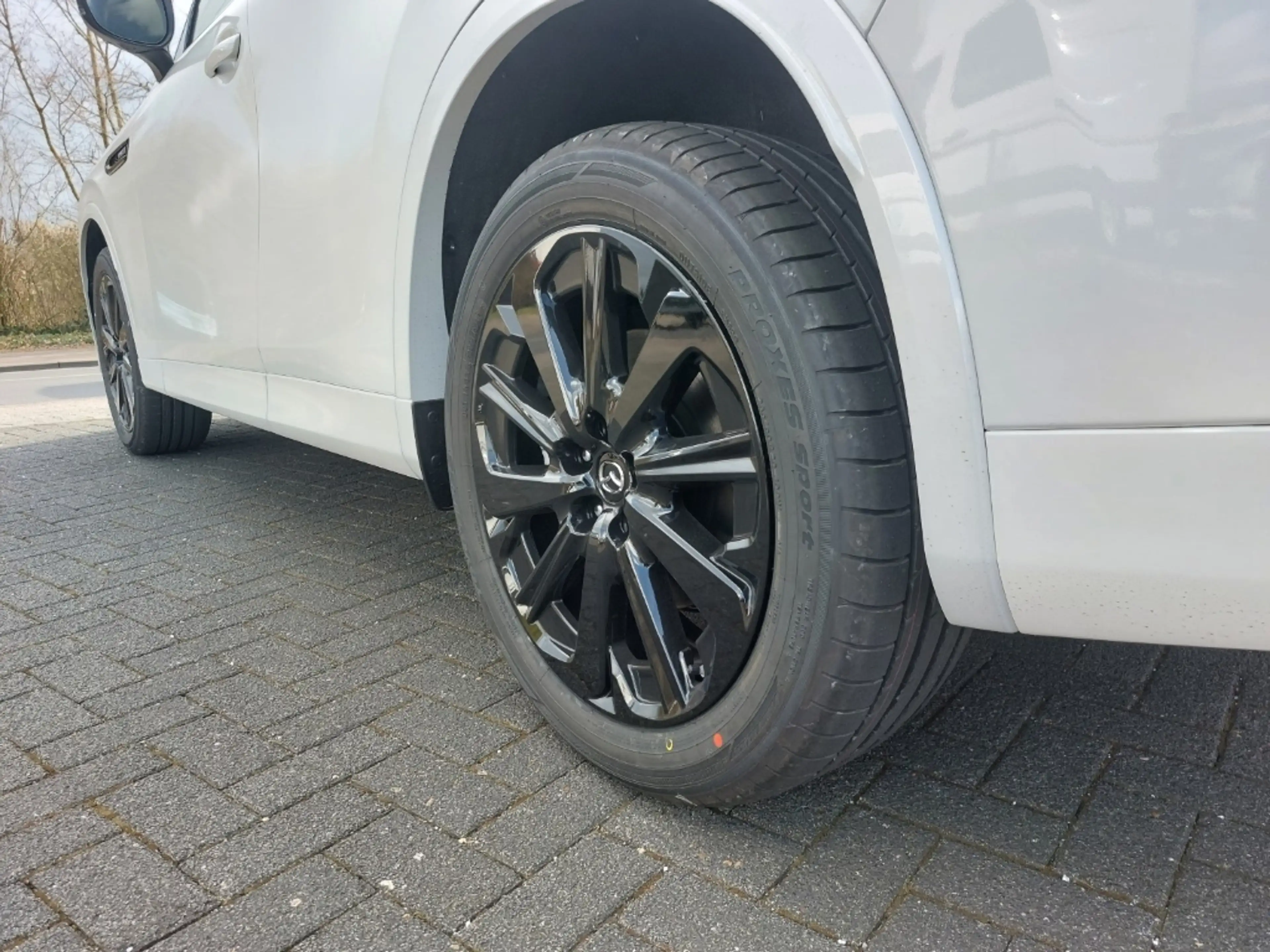 Mazda CX-60 PHEV HOMURA PLUS AWD HUD El. Panodach Navi Leder D — photo 13