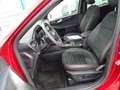 Ford Kuga 2.5 Plug-In Hybrid ST-Line X +Panoramadach+B&O Rouge - thumbnail 12