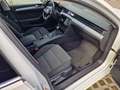 Volkswagen Passat 2.0 TDI SCR DSG Business - thumbnail 17
