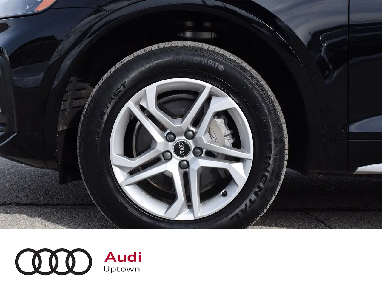 Audi Q5 fotografie Audi Q5