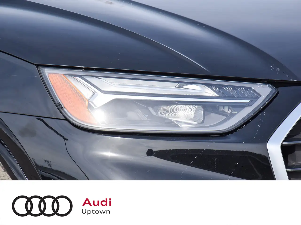 Audi Q5 fotografie Audi Q5