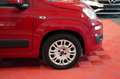 Fiat Panda 1.2 Lounge 1-Hand*Unfallfrei*Klima Rot - thumbnail 5