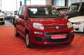 Fiat Panda 1.2 Lounge 1-Hand*Unfallfrei*Klima Rot - thumbnail 3