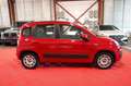 Fiat Panda 1.2 Lounge 1-Hand*Unfallfrei*Klima Rot - thumbnail 4