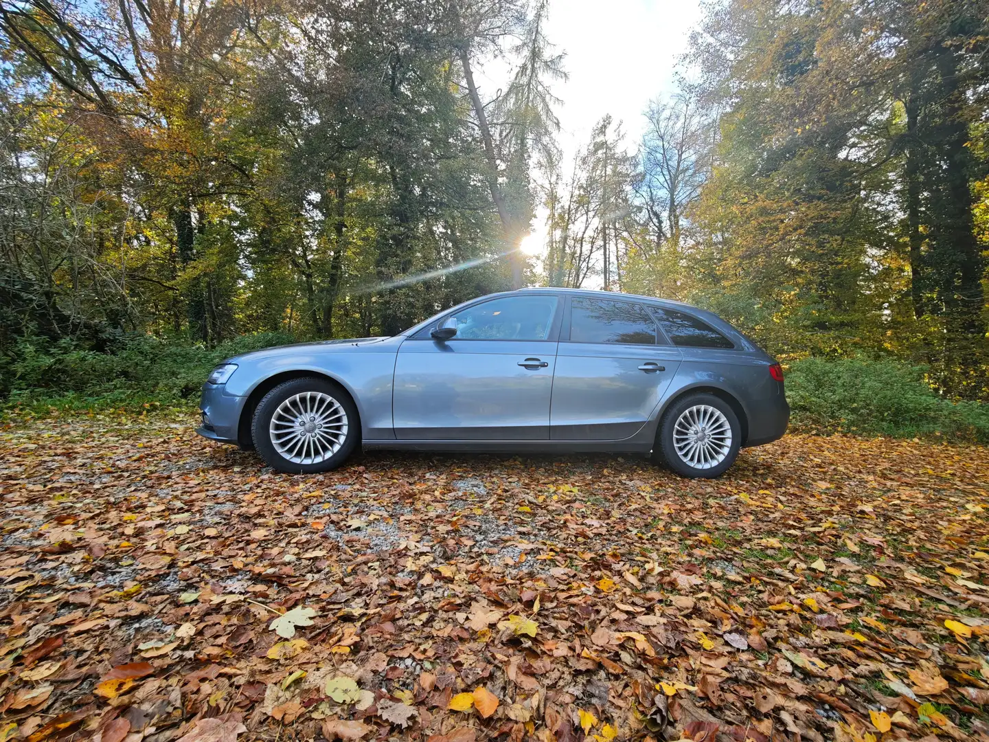 Audi A4 A4 Avant 3.0 TDI DPFAmbiente Grau - 2