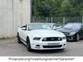 Ford Mustang 5.0 GT V8*Cabrio*Automatik*Unfallfrei* Weiß - thumbnail 2