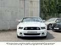 Ford Mustang 5.0 GT V8*Cabrio*Automatik*Unfallfrei* Weiß - thumbnail 4