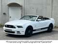 Ford Mustang 5.0 GT V8*Cabrio*Automatik*Unfallfrei* Weiß - thumbnail 6