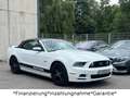 Ford Mustang 5.0 GT V8*Cabrio*Automatik*Unfallfrei* Weiß - thumbnail 12