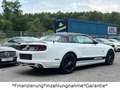 Ford Mustang 5.0 GT V8*Cabrio*Automatik*Unfallfrei* Weiß - thumbnail 14