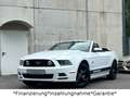 Ford Mustang 5.0 GT V8*Cabrio*Automatik*Unfallfrei* Weiß - thumbnail 1