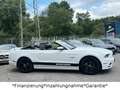 Ford Mustang 5.0 GT V8*Cabrio*Automatik*Unfallfrei* Weiß - thumbnail 8